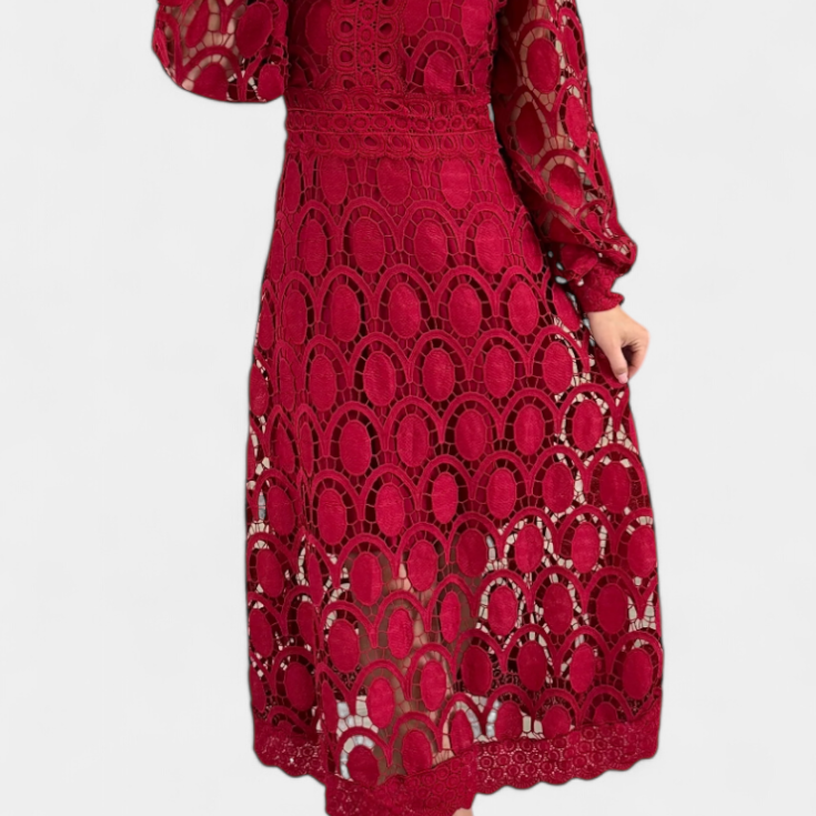 Jovie Vestido Midi de Encaje Bordado con Cuello Alto
